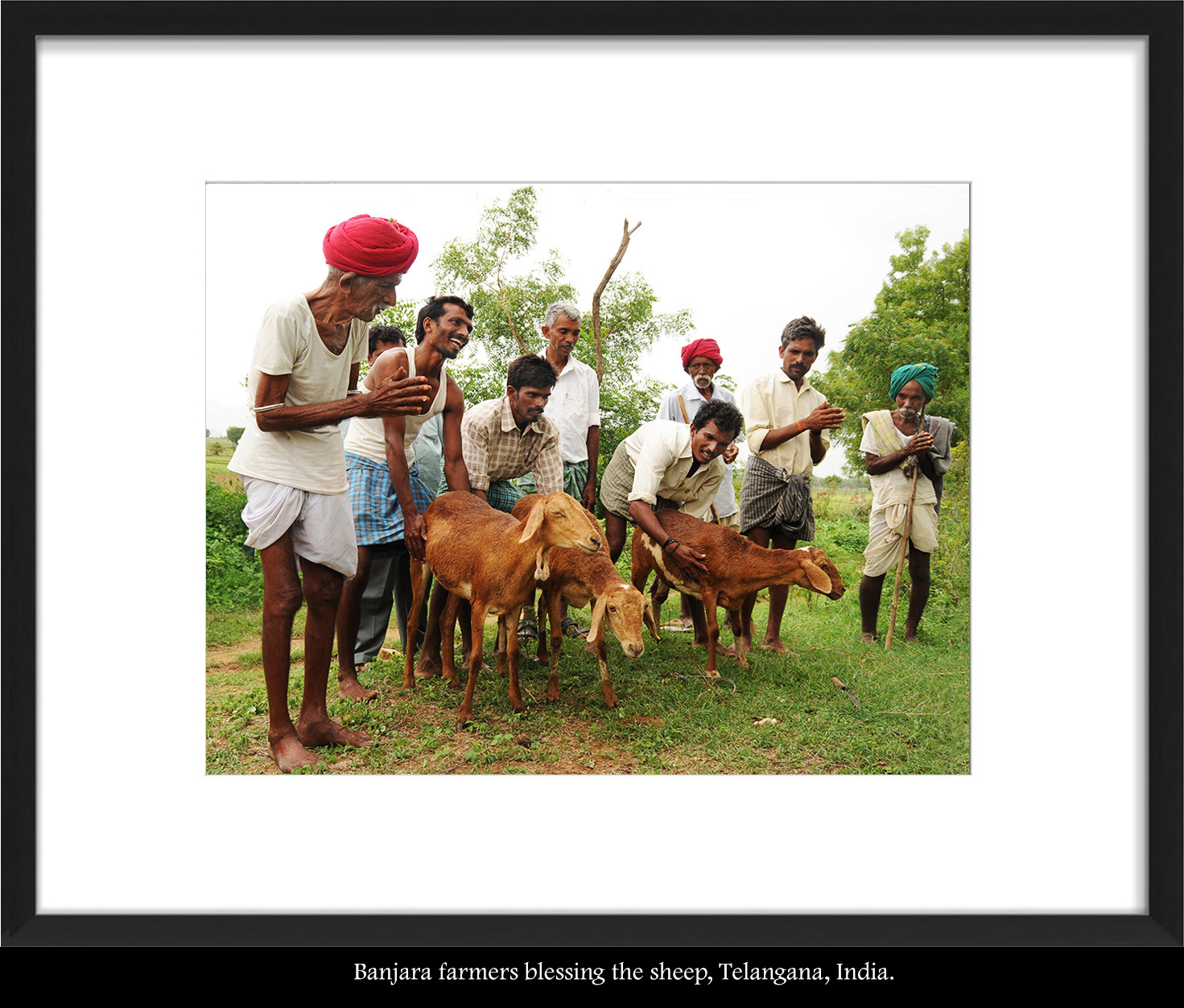 Banjara Men Blessing the Sheep