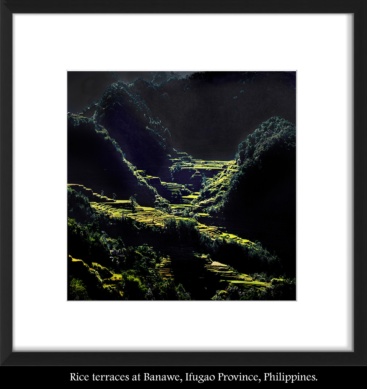 Ifugao Rice    Terraces