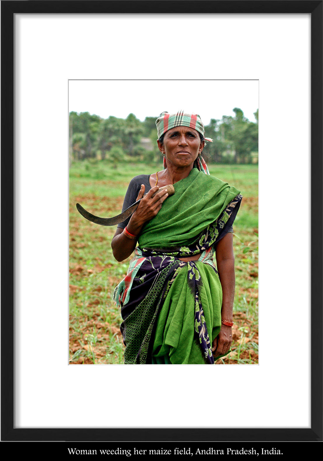 Indian woman with sickle